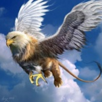 Griffon