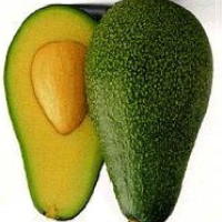 avocasso