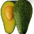 avocasso