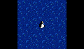 play Pengu wanats to fly