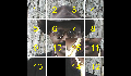 play 15puzzle