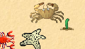 play little-crab