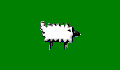 play run sheep run