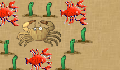 play crab game