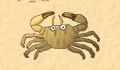 play Crab Game