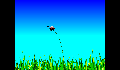 play Gunawan_11140366_LadyBug_Project_3