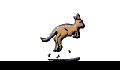 play JumpingKangaroo