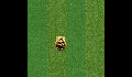 play Working Sprite Animation