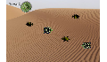 play Cross the Desert