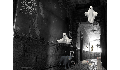 play Haunted Graffiti