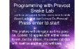 play Snake Lab