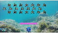 play OceanInvaders