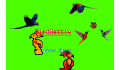 play BirdBattle