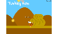 play Turkey Run