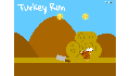 play TurkeyRun