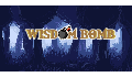 play Wisdom Bomb